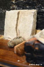 Huilerie Berger Photographe professionnel, photo huilerie client pro