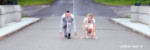Photographe professionnel, photo mariage couple