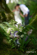 Photographe professionnel, photo mariage couple